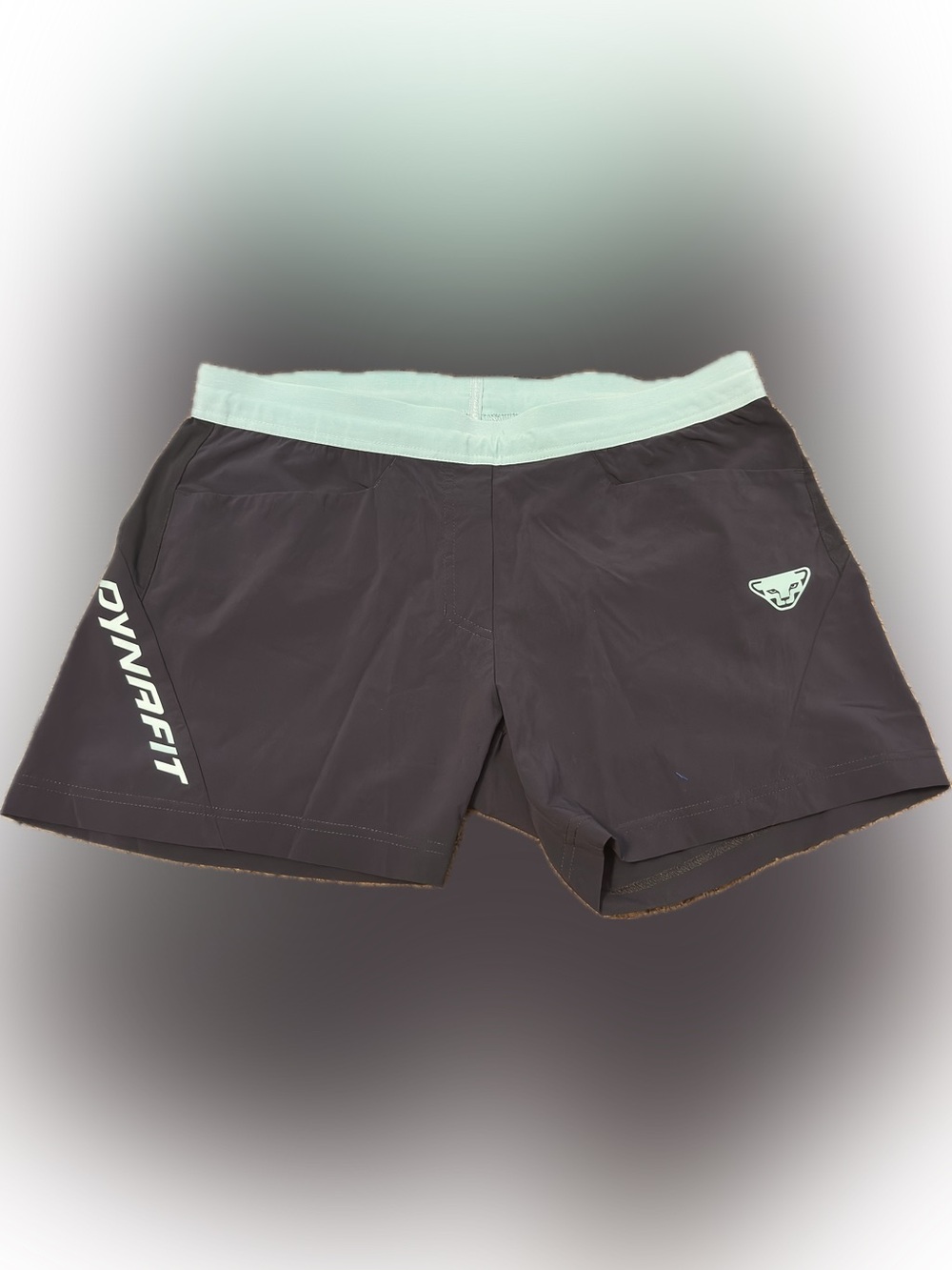 Dynafit Alpine Trail Shorts